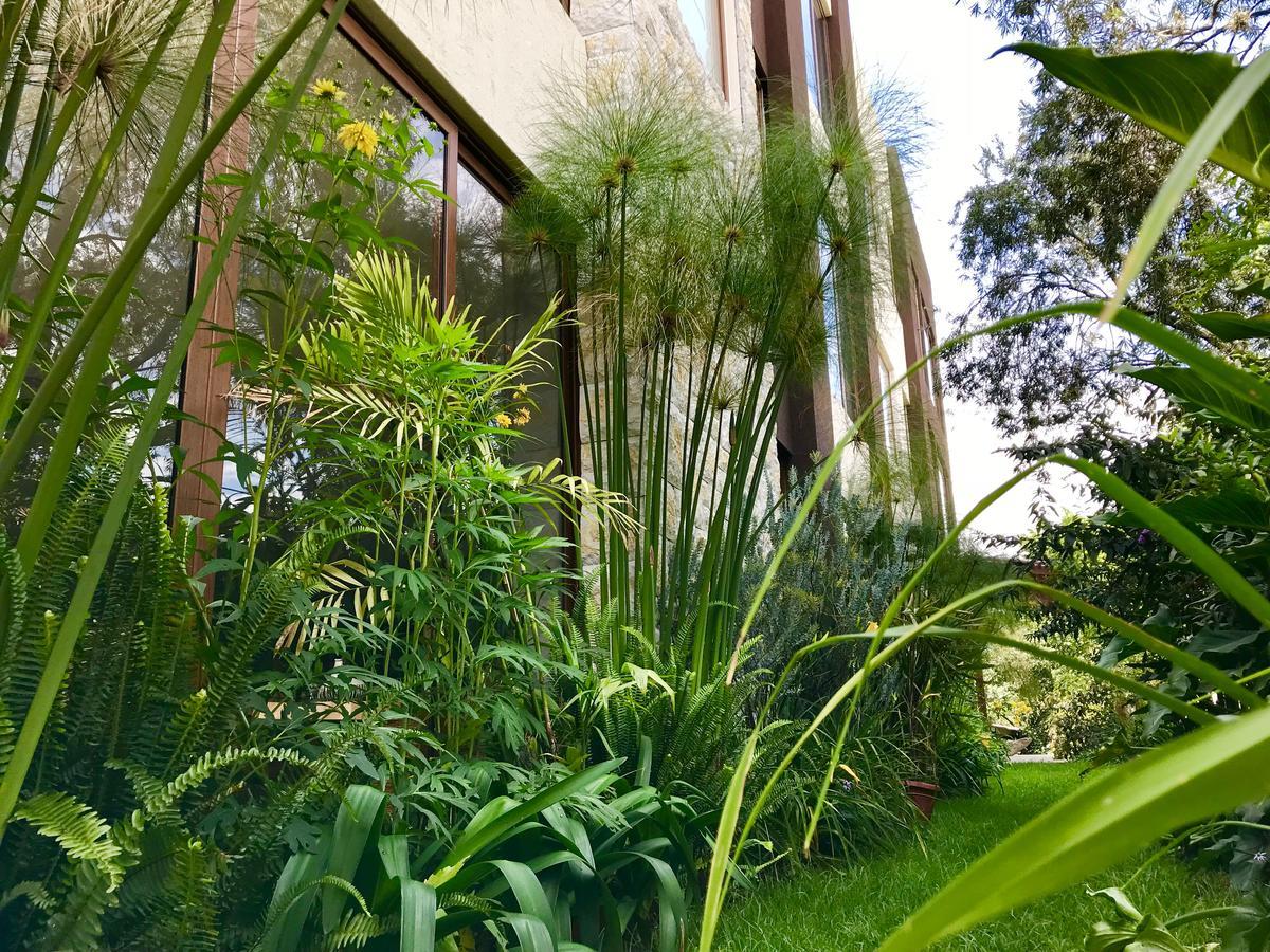 Ilalo Garden Hotel & Restaurant Кито Экстерьер фото